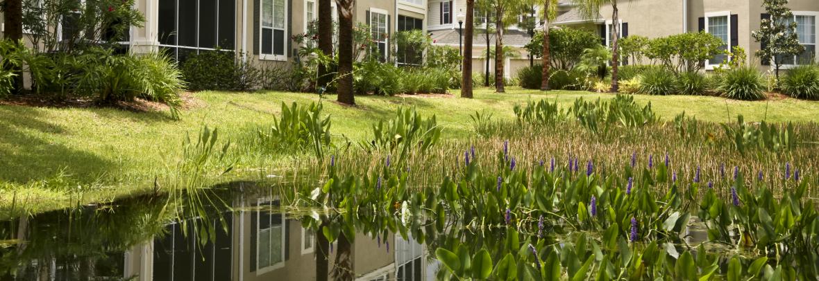 Several condo buildings with screened porches abut a lake