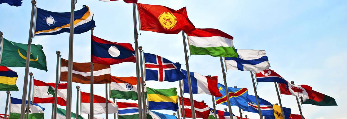 Flags of each country waving in breeze