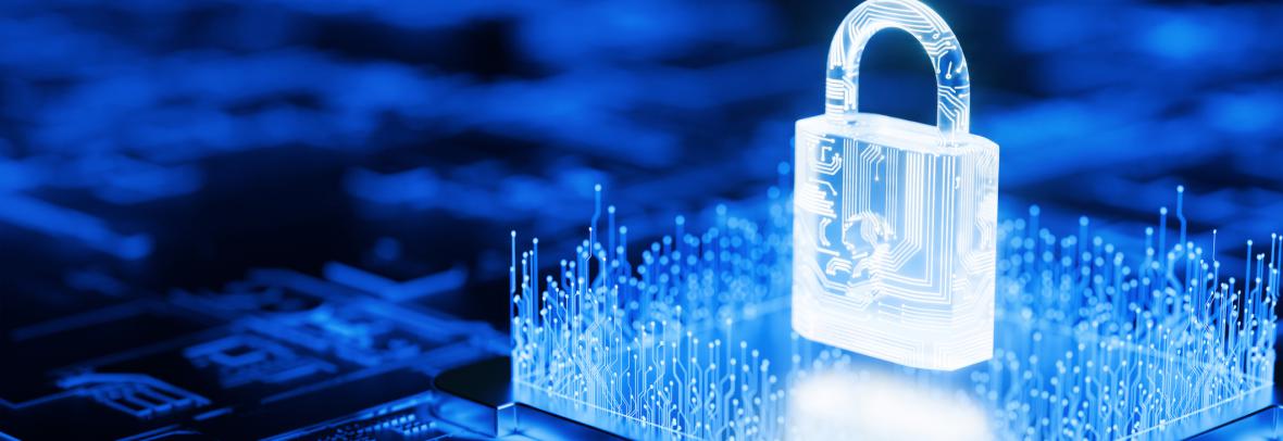 Security padlock and circuit board to protect data image
